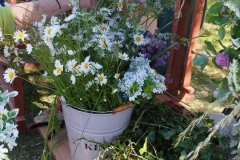 443842403_2558302577708618_1383877661225500035_n