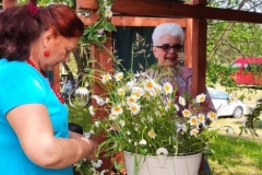 443954771_2558303257708550_7247402154490165548_n