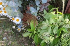 444487849_2558303204375222_3957954338008905627_n