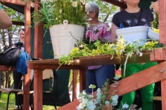 444783636_2558302974375245_2001852164581518851_n