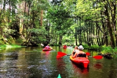 thumbs_foto_1