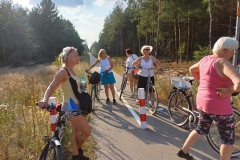 211155cf-f17b-4b92-aeaf-f94941ddb687