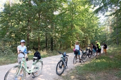 9cb354ab-c301-4592-974f-1cad261c124b