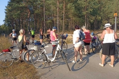 9e70ac58-34b5-454c-a385-7f83b2bfe0a3