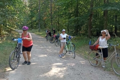 b110c59a-1290-47b3-bc8d-5b1def50d10e