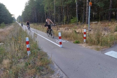 d4b3a987-5c83-42d1-851d-c4d669f3da28