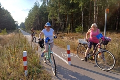 f46cd9cf-964c-47c7-b968-dc0368580fbe