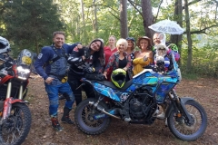 3181716b-cbdb-46e4-8757-bbfe2b68ddd2