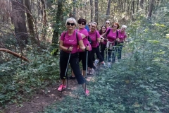 fc4fe025-d251-4748-9122-db32acb709d5