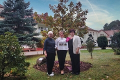 976e29fd-4df8-4c5a-9304-2e9eb83e03b7