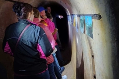 01ee4e6a-0289-4d17-8a09-d483af0e0907