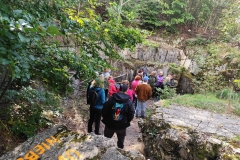 16e7cf22-39ad-44e6-87a0-006987b48543