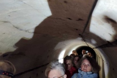 21f92a83-41e4-448c-9483-0d3093c76c97