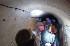 378a111e-1c70-41dd-873a-cdbc3bff9d40