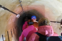 4c6eea31-07e0-482d-b92d-8253d9749bcb