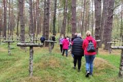 585f8169-a933-486a-8625-bba6d39289c0