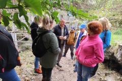 5f91b7f6-b761-4544-b6b8-fea99a873c23