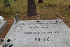 82550b19-14ed-4775-b403-815ee14aa12b