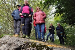 d7e9bee6-d8cd-4d95-84d4-85db56b2f361