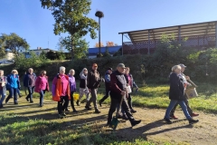 6e6e059c-8f09-4b0c-83fa-fe9b64e227a1