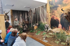 773d2377-3c63-4741-8fc0-dd74aa3b601b